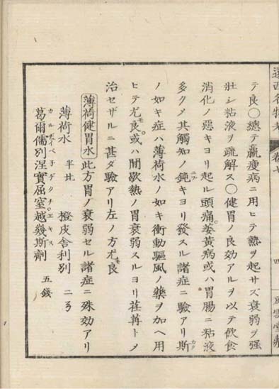 ensei iho meibutsuko v.7