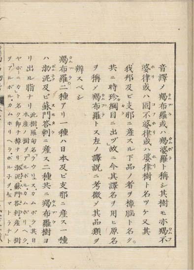 ensei iho meibutsuko v.7