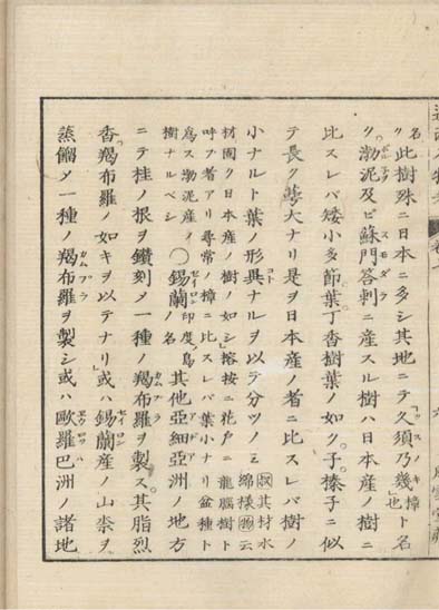 ensei iho meibutsuko v.7