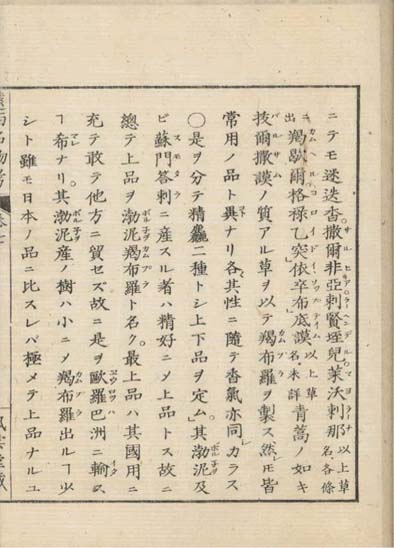 ensei iho meibutsuko v.7