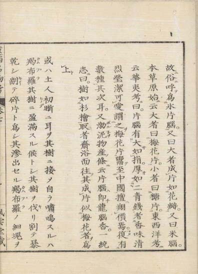 ensei iho meibutsuko v.7