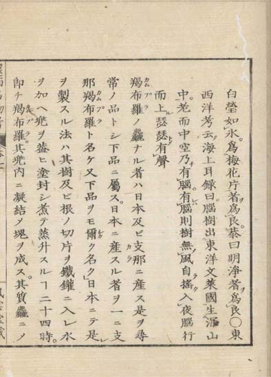 ensei iho meibutsuko v.7
