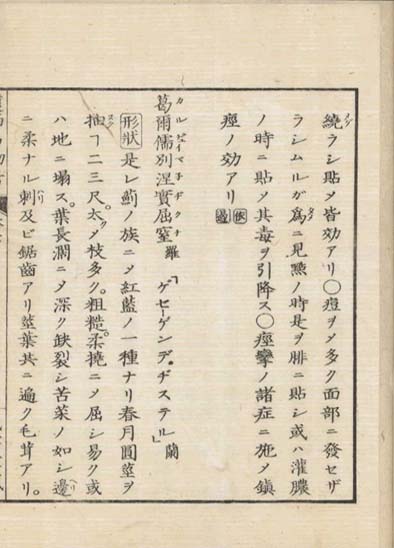 ensei iho meibutsuko v.7