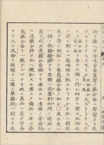 ensei iho meibutsuko v.9