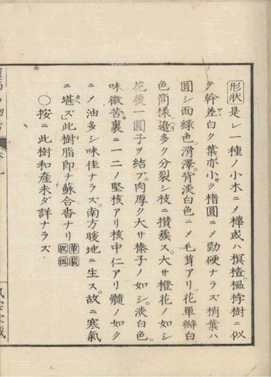 ensei iho meibutsuko v.9