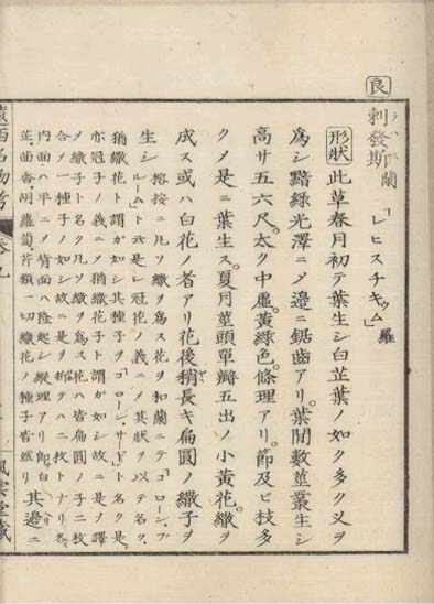 ensei iho meibutsuko v.9