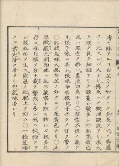 ensei iho meibutsuko v.9