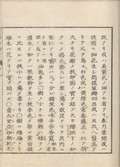 ensei iho meibutsuko v.9