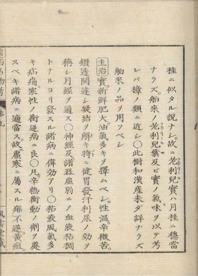 ensei iho meibutsuko v.9