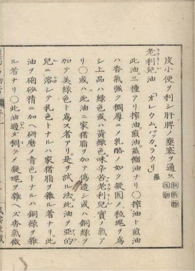 ensei iho meibutsuko v.9