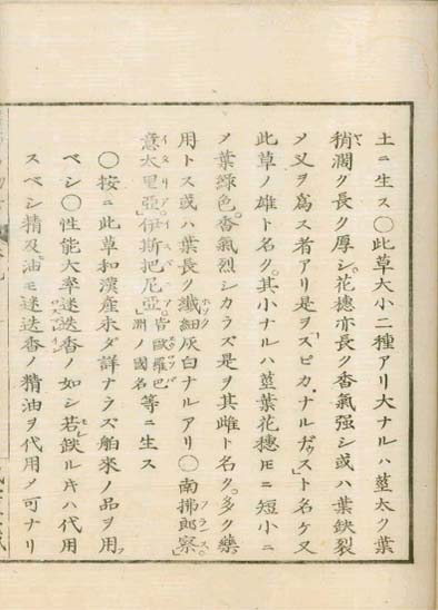 ensei iho meibutsuko v.9