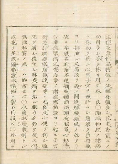 ensei iho meibutsuko v.9