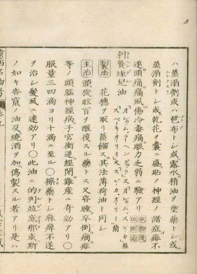 ensei iho meibutsuko v.9