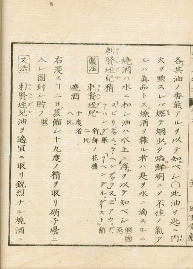 ensei iho meibutsuko v.9