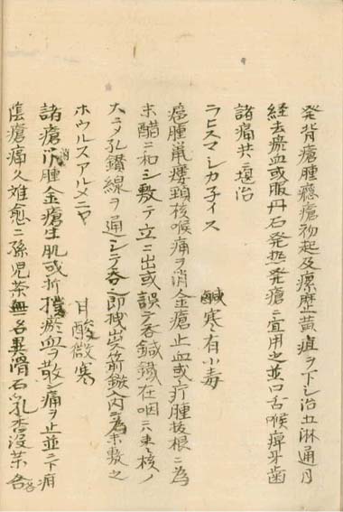 kasuharu gekasho v.7,8