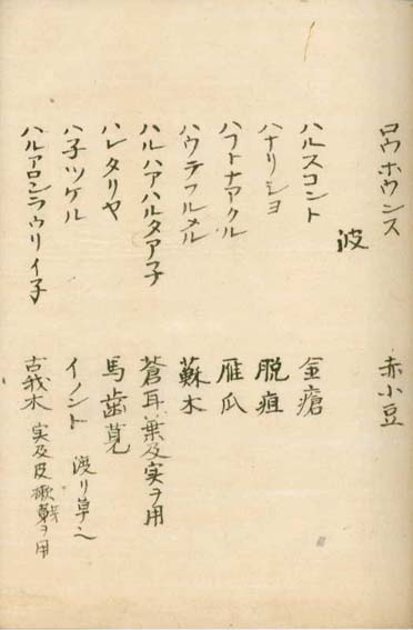 kasuharu gekasho v.7,8