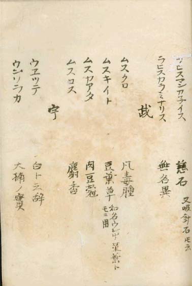 kasuharu gekasho v.7,8