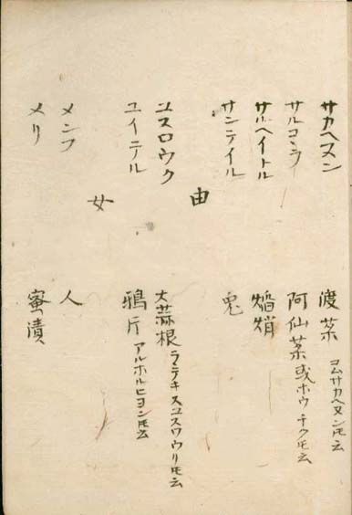 kasuharu gekasho v.7,8