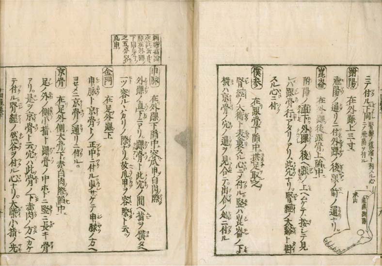 igakushiyosho v.2