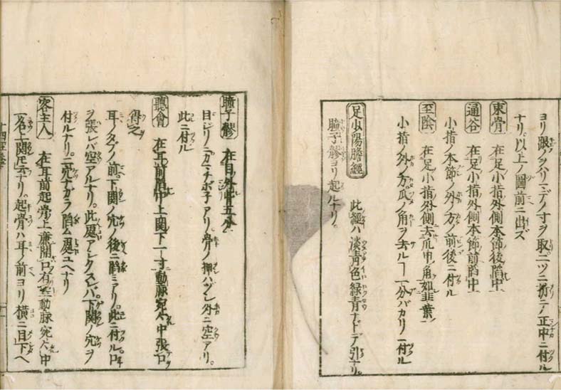 igakushiyosho v.2