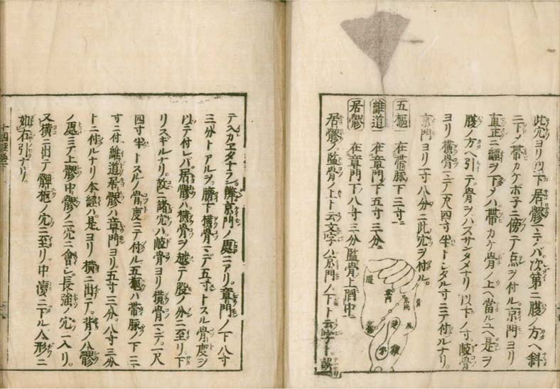 igakushiyosho v.2