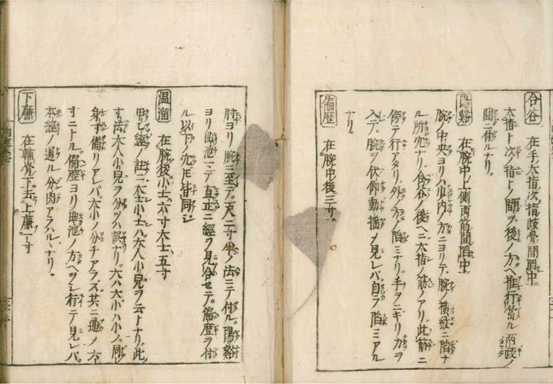igakushiyosho v.2