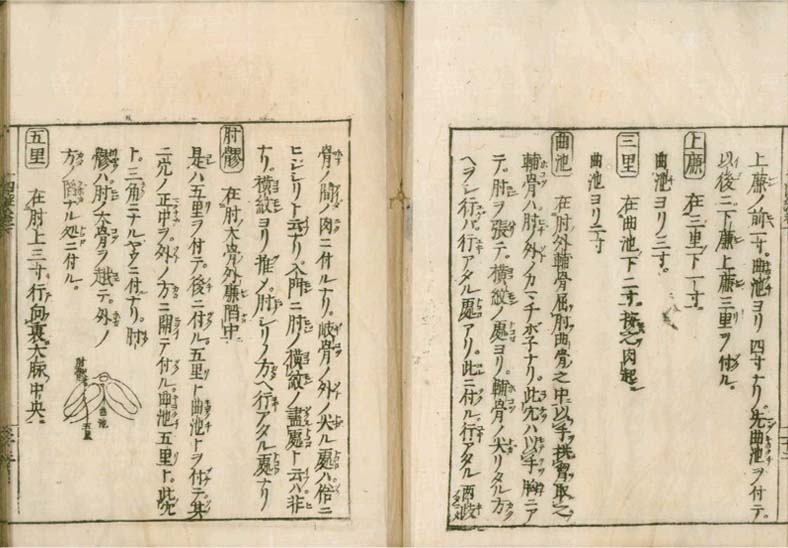 igakushiyosho v.2