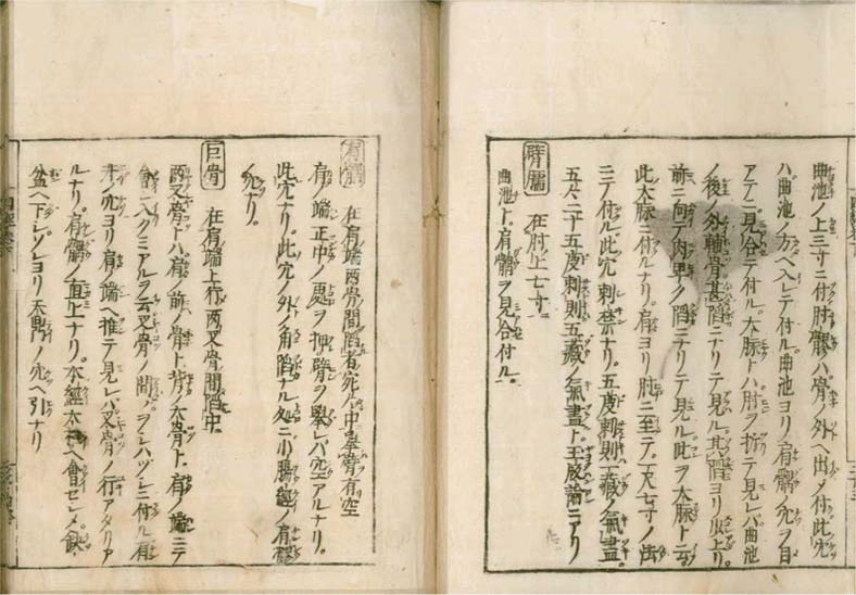 igakushiyosho v.2