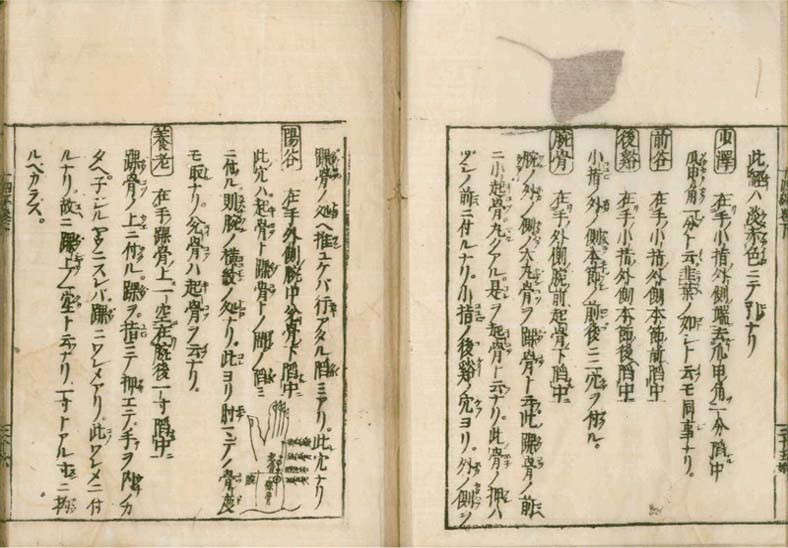 igakushiyosho v.2