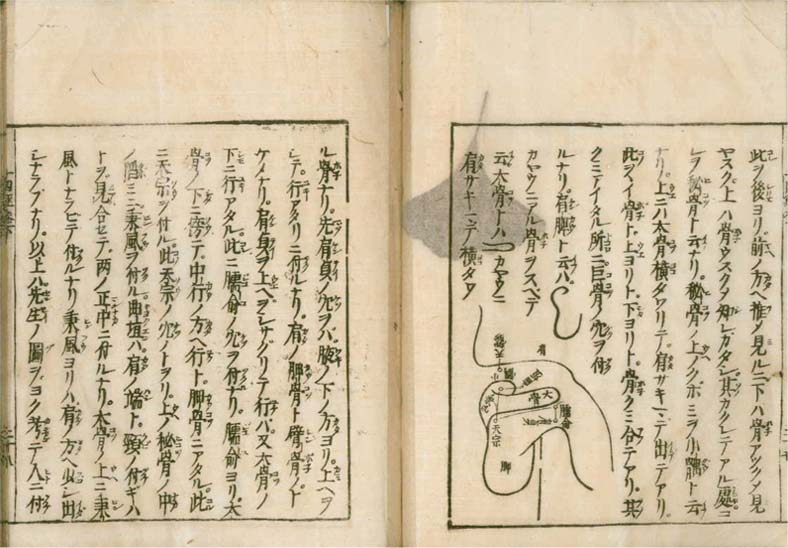 igakushiyosho v.2