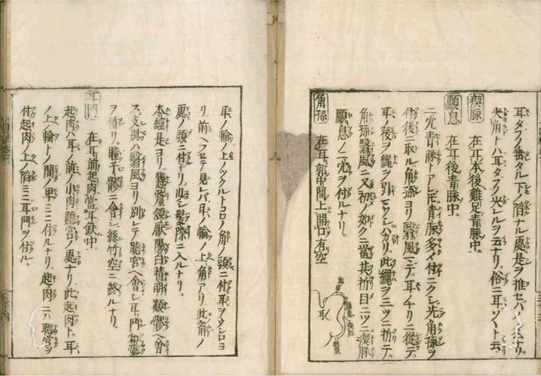 igakushiyosho v.2