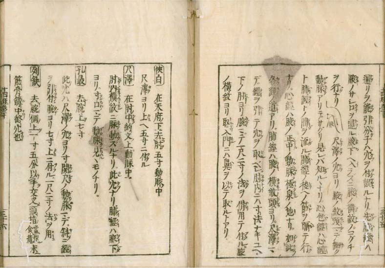 igakushiyosho v.2
