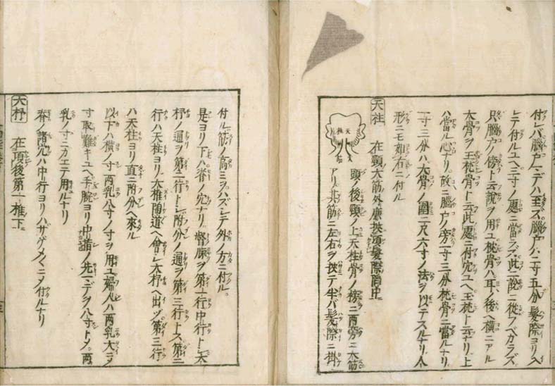 igakushiyosho v.2