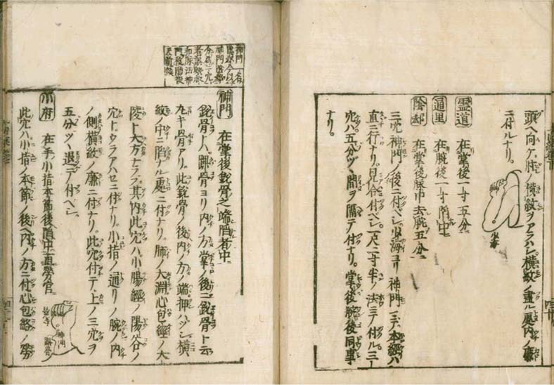 igakushiyosho v.2