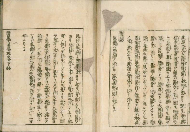 igakushiyosho v.2