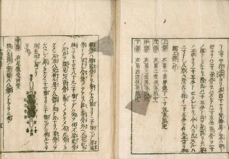 igakushiyosho v.2