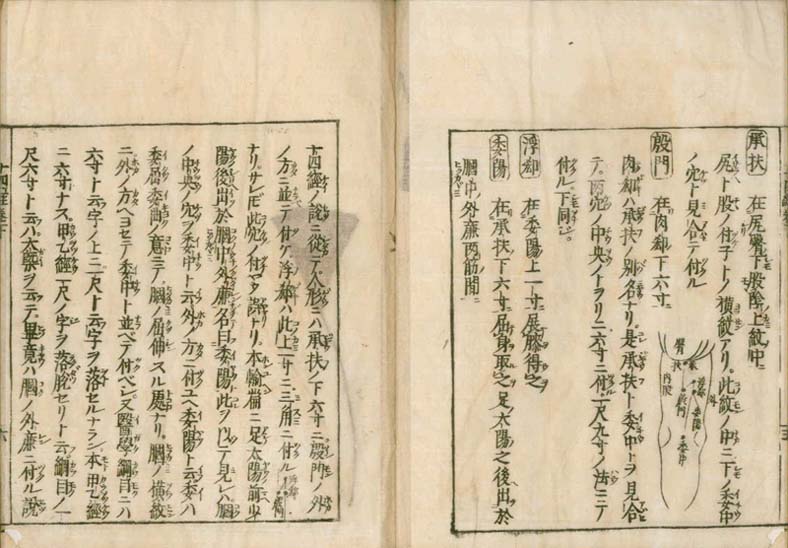 igakushiyosho v.2