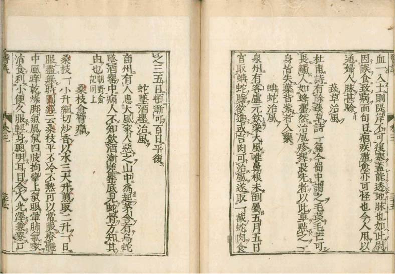 isetsu v.3