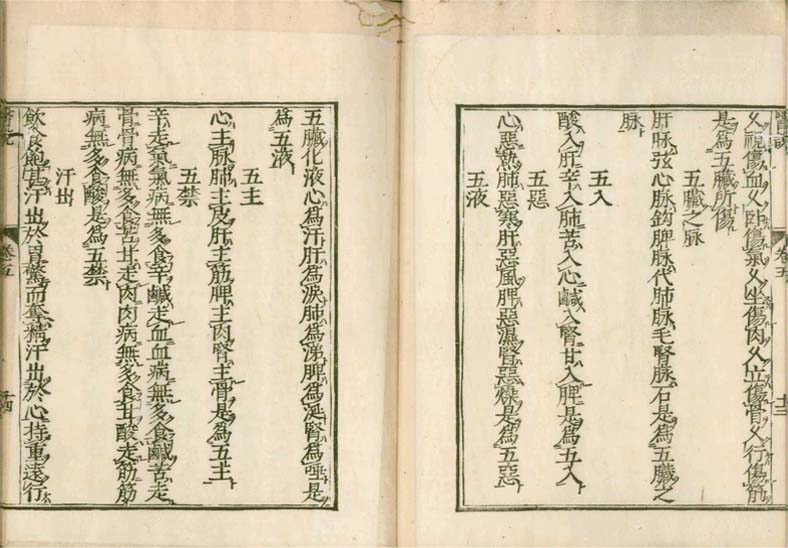 isetsu v.5