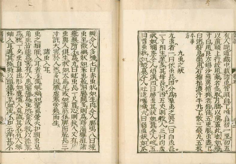 isetsu v.5