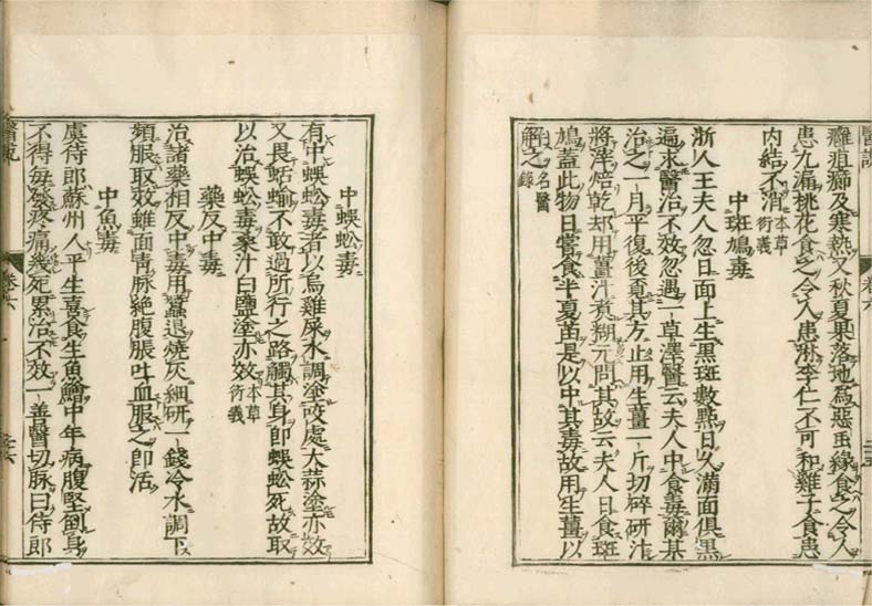 isetsu v.6