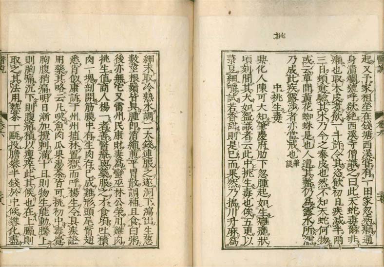 isetsu v.6