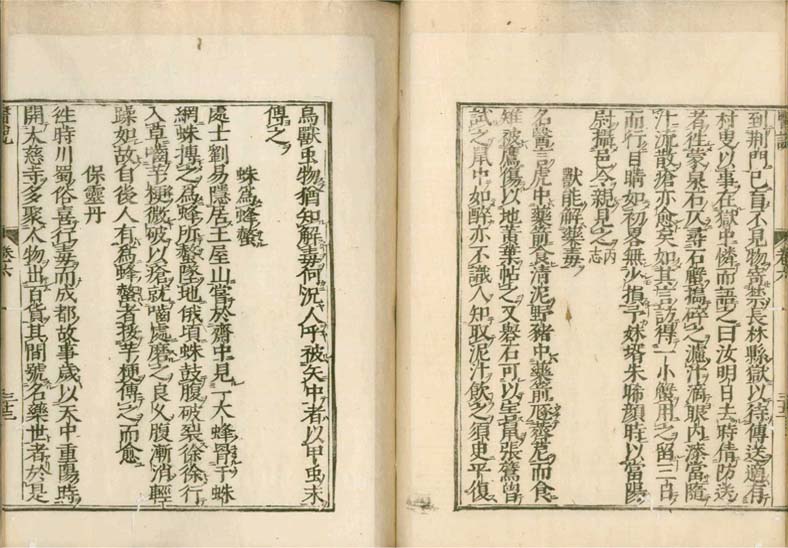isetsu v.6