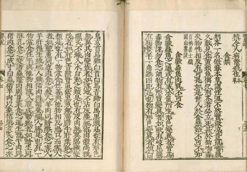 isetsu v.7
