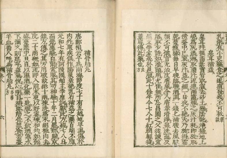 isetsu v.8