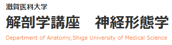 滋賀位階大学　解剖学講座　神経形態学