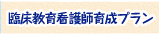 臨床教育看護師育成プラン