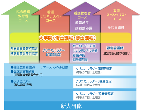 クリニカルラダー臨床教育看護師図