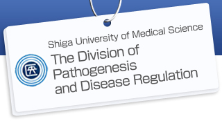 Department of Pathology, Shiga University of Medical Science