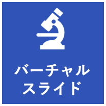 バーチャルスライド